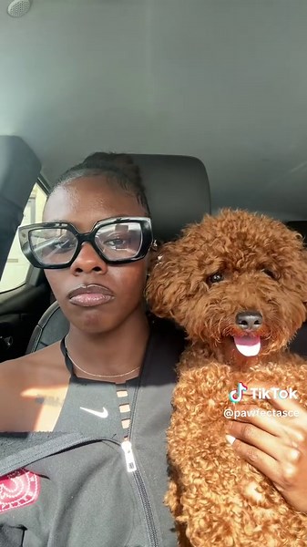 Asce 🐾 (@pawfectasce)’s videos with original sound - Asce 🐾