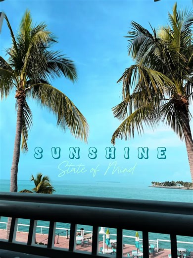 Sunshine state of mind ☀️🌴🐊🐬🦎 #vacation #recap #florida #bahamas #theonewiththebraces #capcut