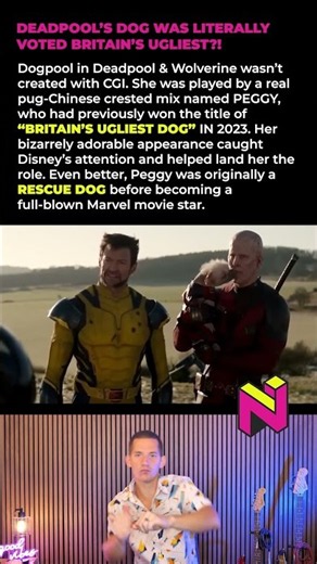 Deadpool’s Dog Was Actually Britain’s UGLIEST Dog?!