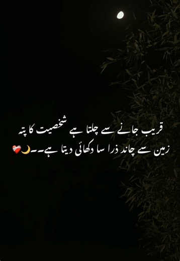 قریب جانے سے چلتا ہے شخصیت کا پتہ — مختصر غزل نما لائن