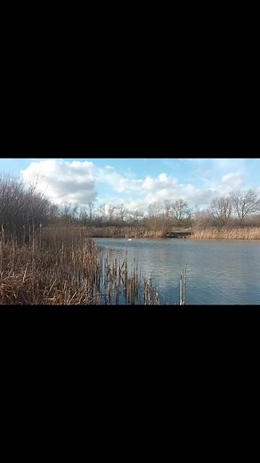 3.8K views · 68 reactions | Peg 1 to 15 view from the no fishing bank | Trent View Carp Fishery | Facebook