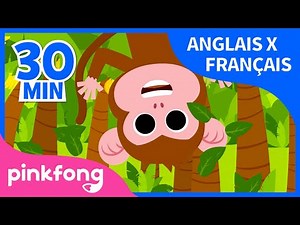 Singe Banana en Anglais et en Français | Chansons Animaux | Pinkfong ! Chansons pour Enfants