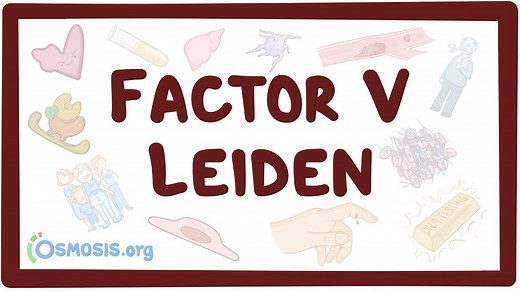 Factor V Leiden: Video, Causes, & Meaning | Osmosis