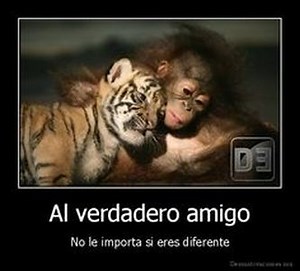 Spanish 3 - 3rd quarter