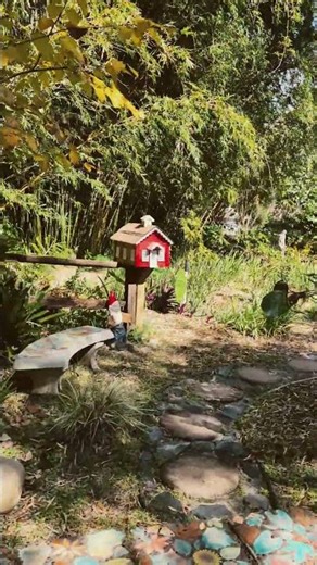 Nature Coast Botanical Gardens in Spring Hill Florida Part 14