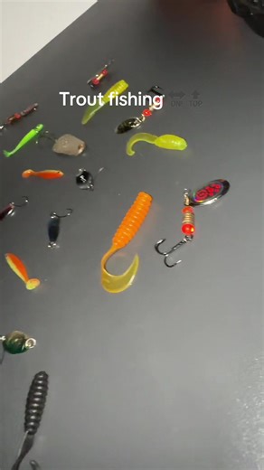Ultimate Guide to Trout Fishing Tips and Lures