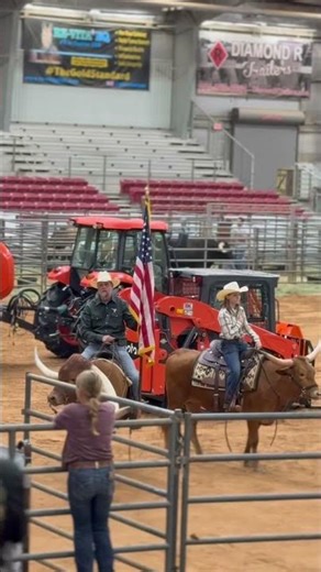 2025 ITLA Elite Heifer Sale