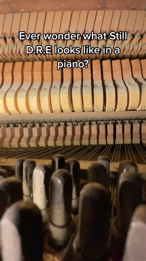 #stilldre #drdre #dr.dre #fyp #piano #music #instrument #keyboard