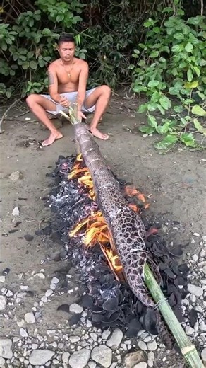 자이언트 곰치를 잡아 튀기고 굽기 Catching, frying, and grilling giant moray eels
