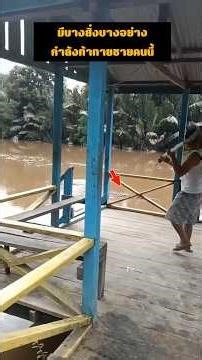 มีบางสิ่งบางอย่าง..กำลังท้าทายชายคนนี้ #wildlife #animals #nature #buaya #crocodile #ular#piton