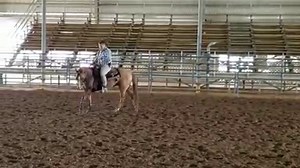 63K views · 555 reactions | In this video I show how get a horse started with the spin. | Tim Anderson Horse Training | Facebook
