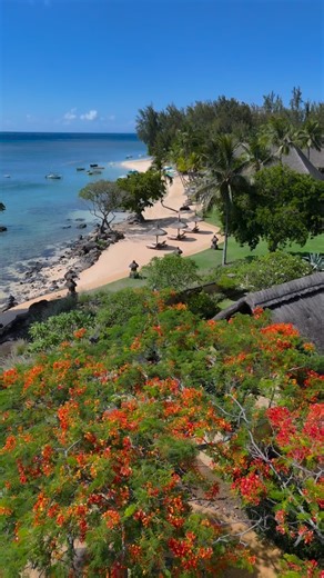 Mauritius Island on Instagram: "Nestled in Balaclava beach, the Oberoi resort with private villas will charm you with its unique architecture, lush garden and stunning views 🤩 Mauritius, something to sea #mauritius #mauritiusexplored #island #oberoimauritius Mauritius, it’s the journey and experience #mauritiusisland"