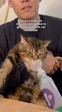 Tutorial on How To Give Your Cat an Inhaler