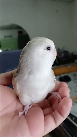Gabby near a softbox studio light