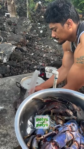 POLYS BEING POLYZ on Instagram: "If ever go back to the islands embrace the culture ways, the island way and how they live .. get your hands dirty and enjoy presence moments.. humble living ❤️❤️ #polynesian"