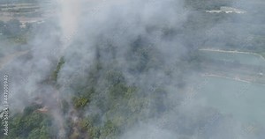 epic horrible wildfire mixed trees forest disaster, burning conifer trees. Fire truck. Firefighters. Fireman. Firemen against fire in wild forest