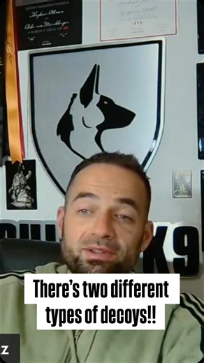 28 reactions | Haz at @shield_k9 breaks down the difference in decoys and in the different protection sports that they work in. | European Doberman Stud | Facebook