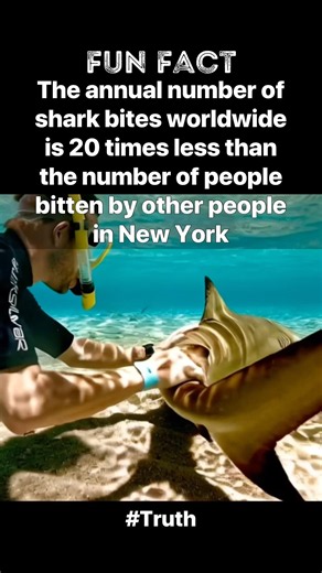 The SHOCKING Truth About Shark Bites 🦈