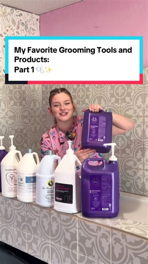 Top Grooming Products for Dogs: Shampoos and Conditioners