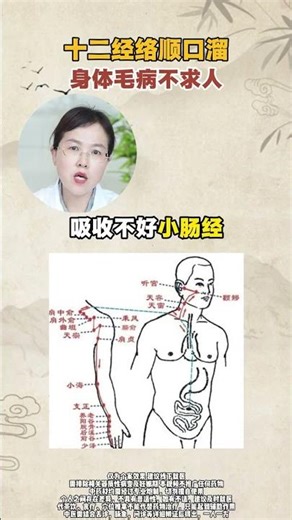 Unlock Your Body's Energy: 12 Meridians for Instant Relief! TCM Health