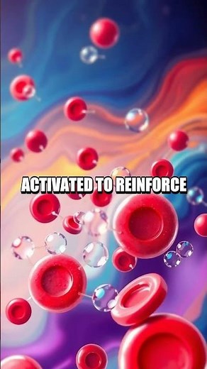 The Intricate Process of Human Blood Clotting