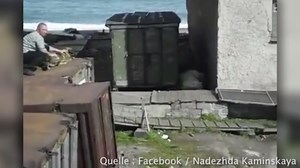 Pferde mit elektrischen Sporen gequält: US-Springreiter für zehn Jahre gesperrt