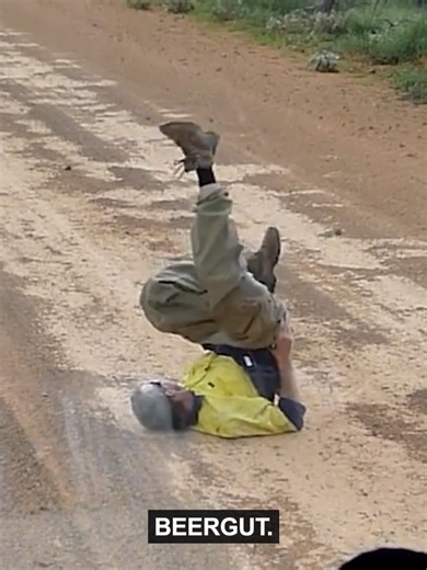 Watch Out for Emus in the Wild!