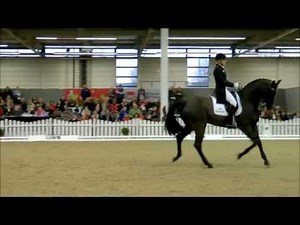 Ingrid Klimke und Dresden Mann K+K Cup 2013 Grand Prix Kür