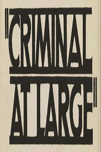 A Criminal at Large - Movie