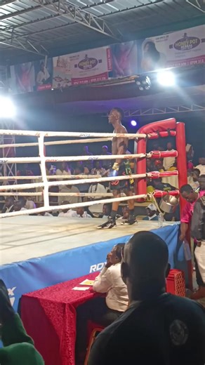 One-Punch Knockout in Professional Boxing