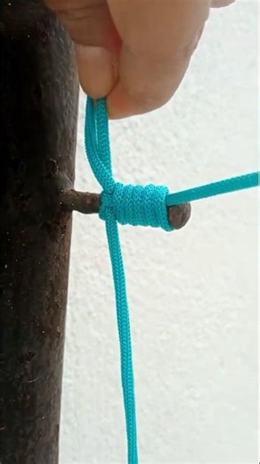 One of the World Professional Knot.