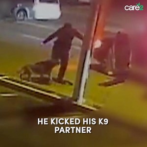 10K reactions · 19K shares | All too often hotheaded cops get a pass for their behavior until one day their temper causes them to do something that ends in the death or injury of another living being. | Care2 | Facebook