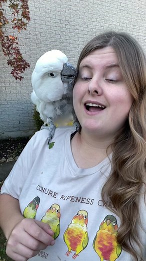 Sam the Cockatoo Singing Classic Songs | Parrot Lover