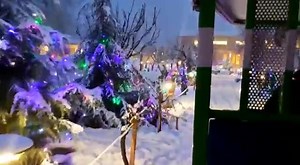 3.4K views · 163 reactions | A stay at this hotel during snowfall will make your holidays memorable Hotel : The Orchard Retreat & Spa, Srinagar DM for queries | Discover Kashmir | Facebook