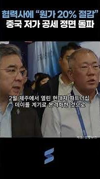 Hyundai Motor Orders Suppliers to "Reduce Costs by 20%"... Head-on Counterattack Against China's ...