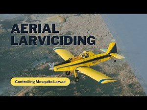 Aerial Mosquito Larviciding: Targeting Mosquitoes from Above