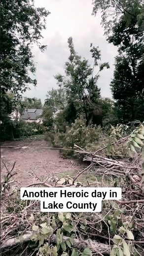 Another Heroic Day in Lake County 💪🌲 | Precision Tree Drop | Mentor Ohio