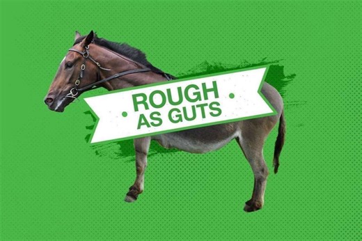 Roughie tips for Saturday's racing [The Valley, Randwick]