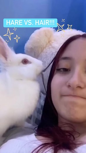 Fun Animal Fact: Bunnies are expert hair stylists! 🤣✨🐰 | Try Not to Laugh