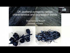 GSI Seminar: UK peatland pyrogenic carbon characteristics & degradation trends