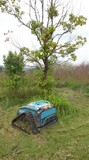 Dealer Exclusive Mower OEM | Koham Private Label Models #ExclusiveDealer #OEMPrivate