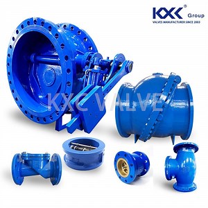 [Hot Item] Pn16 Duction Cast Iron Body Flang Silence Double Plate Swing Lift Ball Type Non Return Valve Check Valve