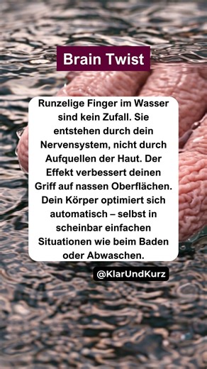 Warum deine Finger im Wasser schrumpeln. #braintwist