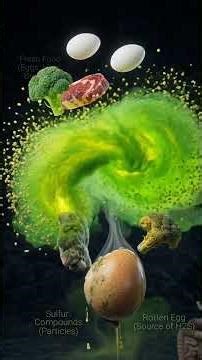 Why does fart smell watch it find it stick to the end to smell who farted🤢🫡