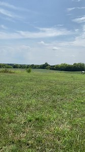 20K views · 831 reactions | 58 seconds on Fleetwood Hill at the Brandy Station Battlefield! | Garry Adelman's Civil War Page | Facebook