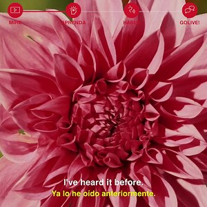 10K views · 19 reactions | Accede a más de 15.000 videos, mejora tu vocabulario y únete a tu lección 1-a-1 con tu tutor personal. | EnglishCentral | Facebook