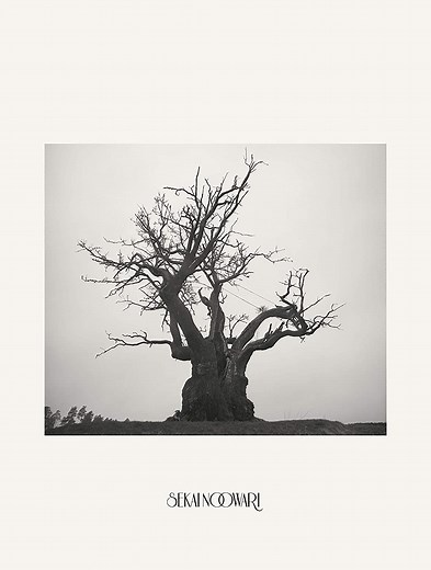 炎と森のカーニバル 歌詞 SEKAI NO OWARI ふりがな付 - うたてん