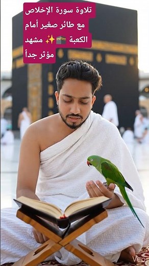 تلاوة سورة الإخلاص مع طائر صغير أمام الكعبة 🕋✨ مشهد مؤثر جداً