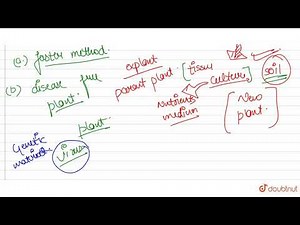 What is the major advantage of producing plants by micropropagation ?