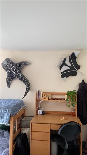 Ocean Craft: Cardboard Whale Shark and Manta Ray Sculpture Tutorial